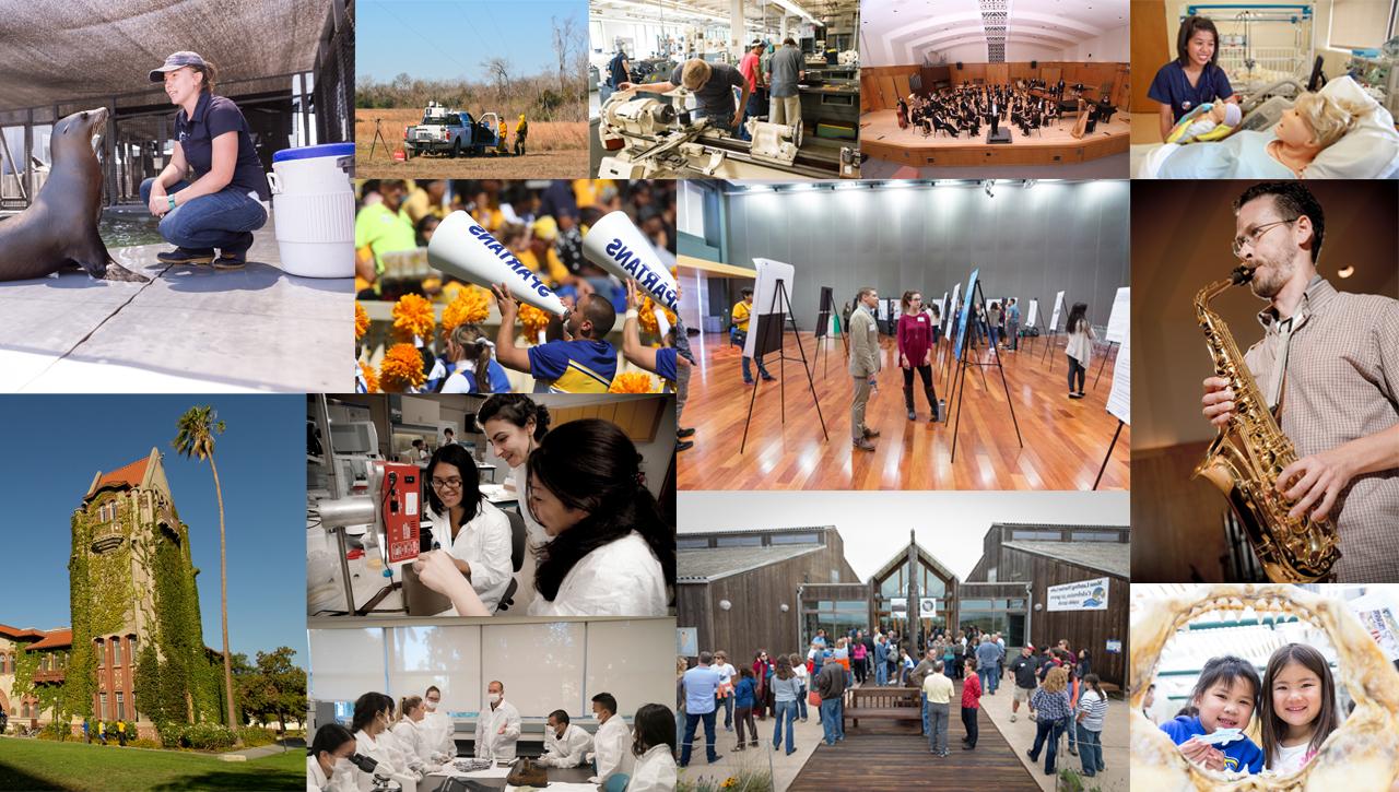Collage of various pictures depicting research activities. 